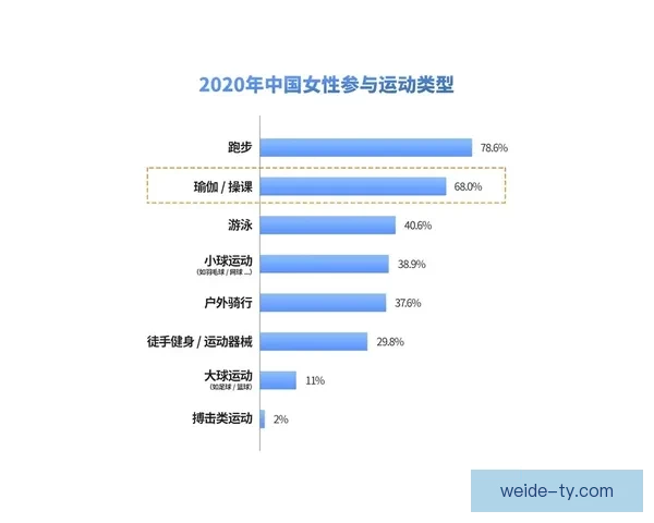探索伟德平台体验与服务质量全面评测分析