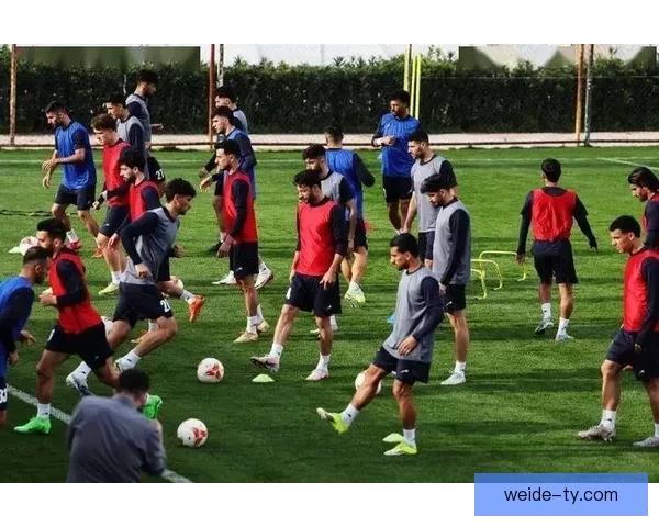 2026世界杯三国联合举办精彩赛事全面解析