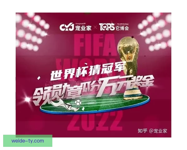世界杯赛事预测与竞猜攻略解析助你赢取精彩竞猜奖励